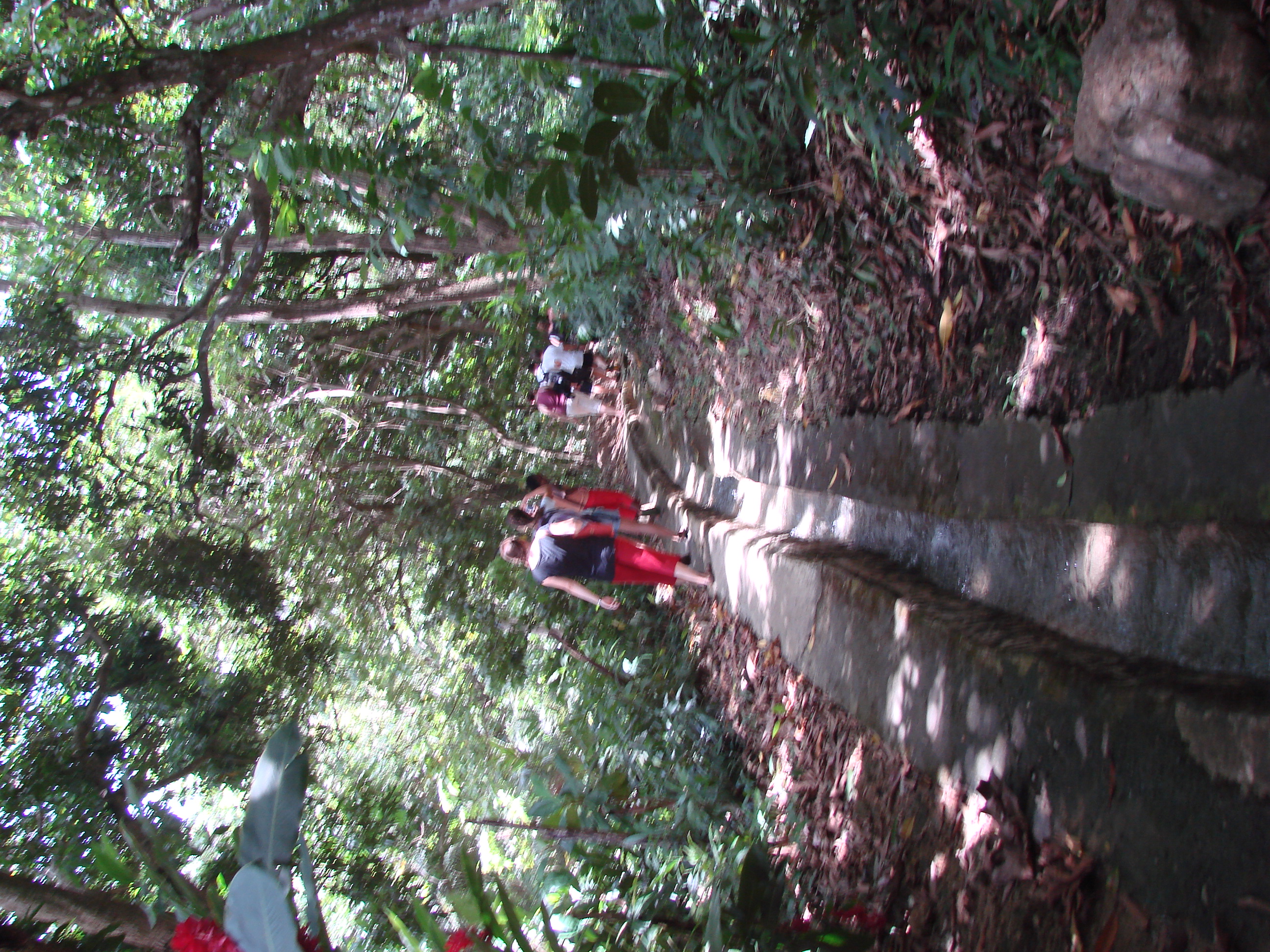 DSC05121.JPG