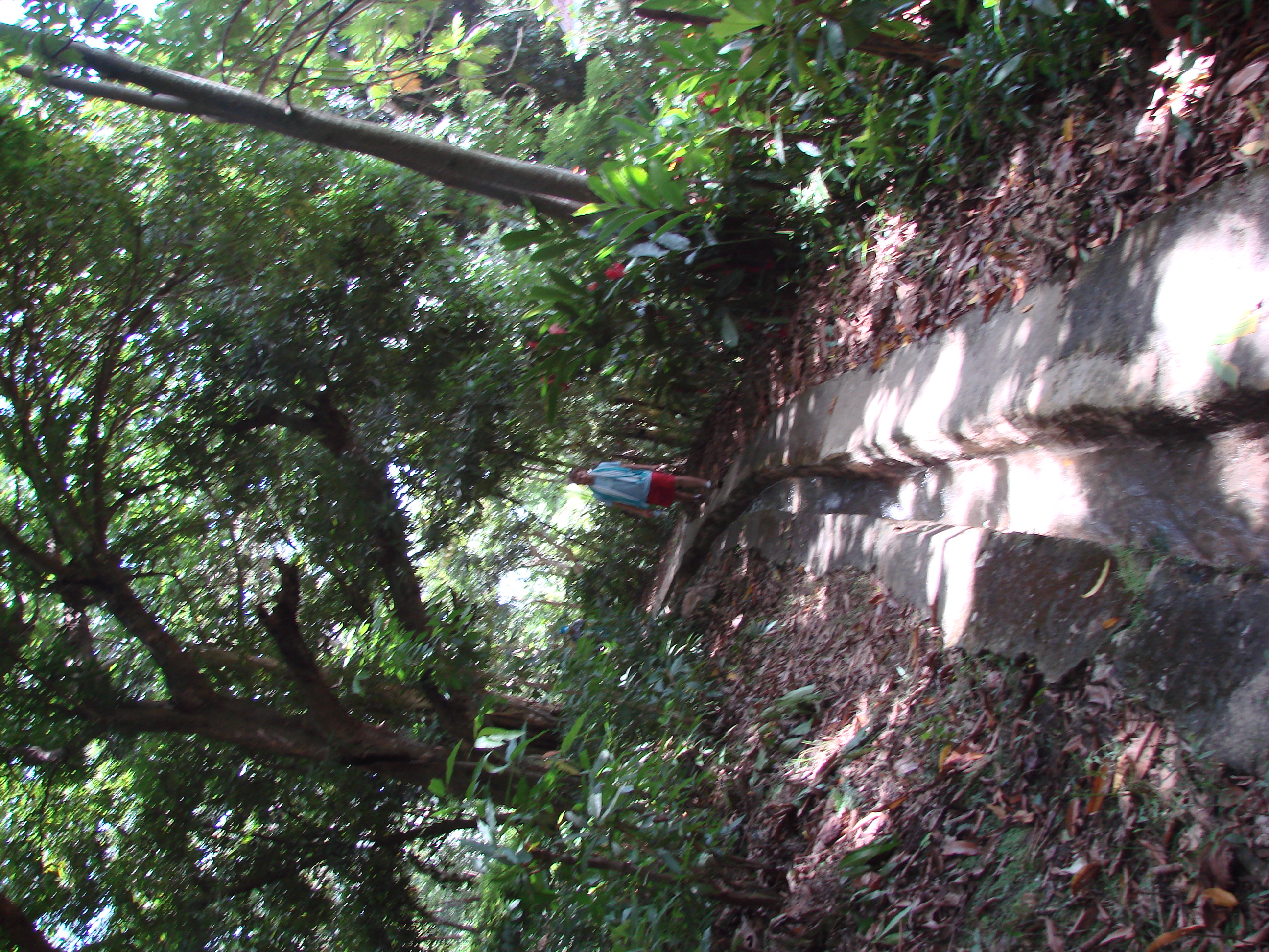 DSC05123.JPG