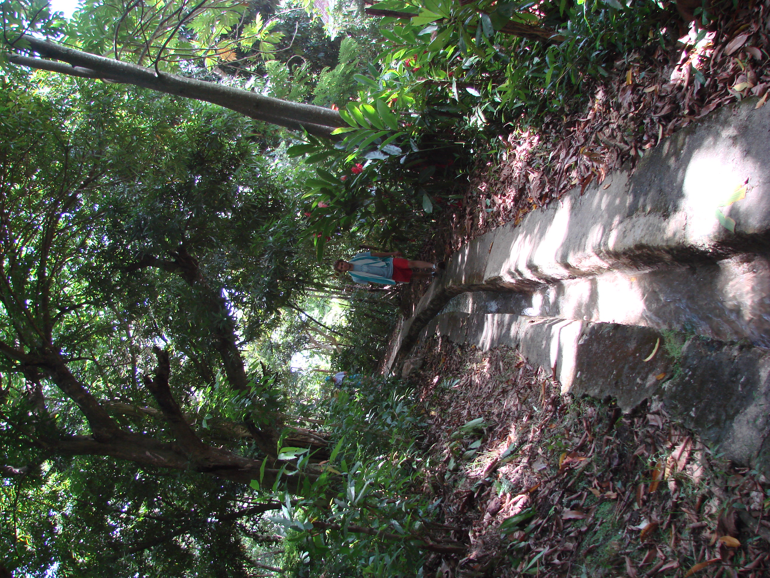 DSC05124.JPG