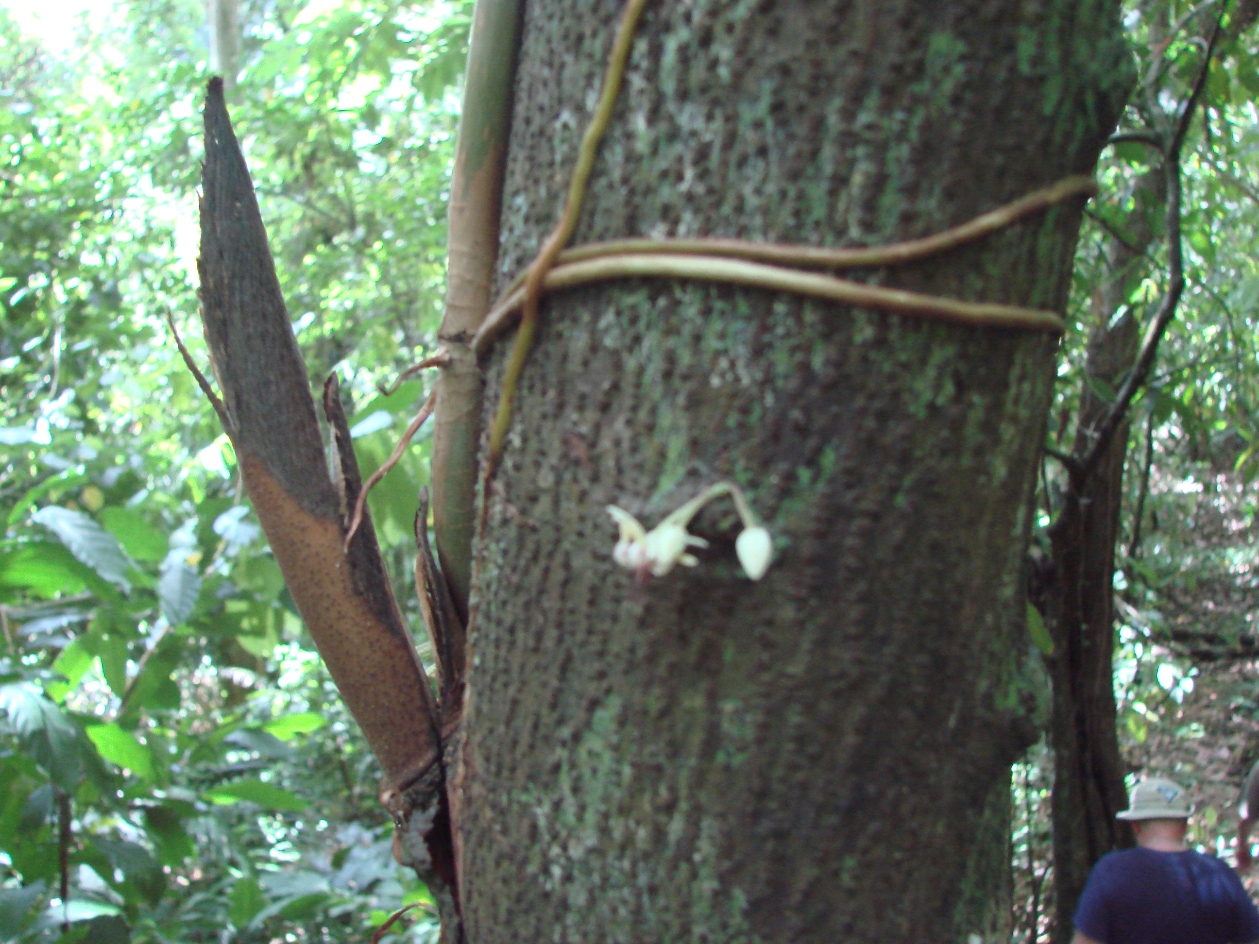 DSC05125.JPG
