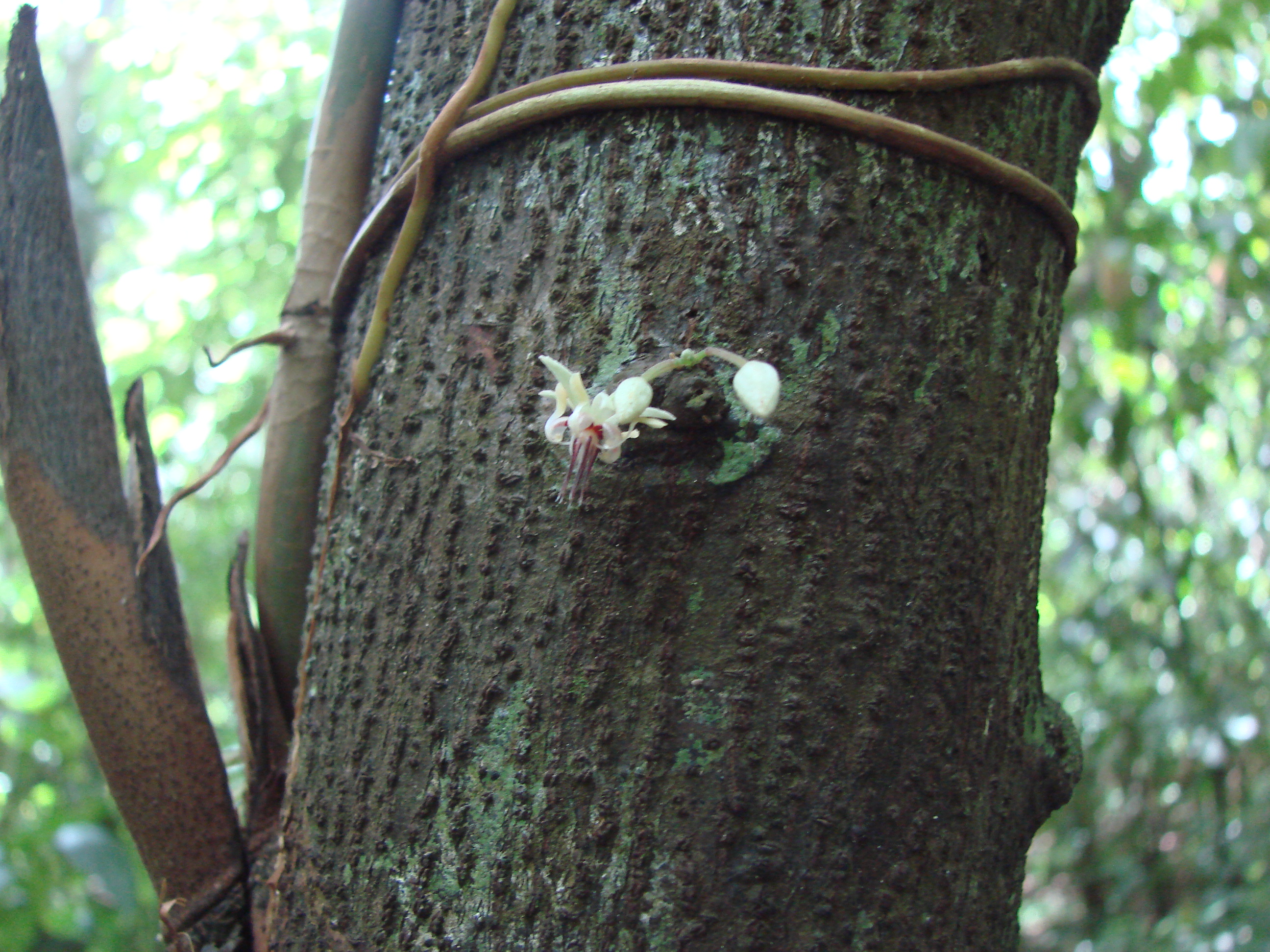 DSC05126.JPG