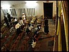 DSC04944.JPG