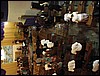 DSC04948.JPG