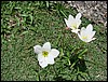 DSC05109.JPG