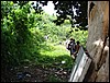 DSC05111.JPG