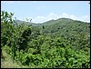 DSC05112.JPG