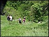 DSC05113.JPG