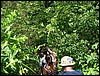 DSC05115.JPG