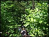 DSC05116.JPG