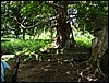 DSC05119.JPG