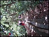 DSC05120.JPG