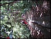 DSC05121.JPG