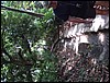 DSC05122.JPG
