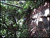 DSC05123.JPG