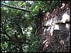 DSC05124.JPG