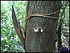 DSC05125.JPG