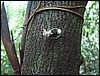 DSC05126.JPG