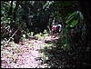 DSC05141.JPG