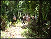 DSC05142.JPG