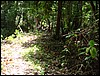 DSC05158.JPG