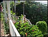 DSC05171.JPG