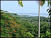 DSC05191.JPG