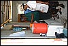 IMG_5541.JPG