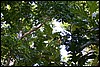 IMG_5584.JPG