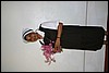 IMG_5623.JPG