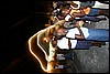 IMG_5763.JPG