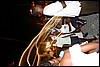 IMG_5765.JPG