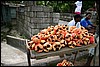 IMG_5846.JPG