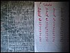DSC02365.JPG