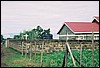 116978-R2-10.JPG
