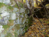 cellar_wall_small.jpg (13263 bytes)