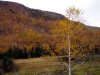 mount_horrid_small.jpg (11395 bytes)