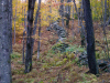 stone_wall_woods2_small.jpg (13517 bytes)