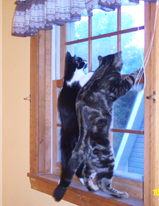 Colby and Mia