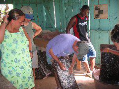 Grating Cassava