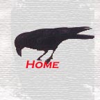 Quoth the Raven Nevermore!