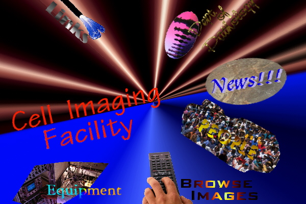 Image Map for CIF Web Pages . . . See Links Bellow