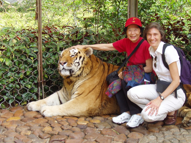 Mimi & Becky & real tiger