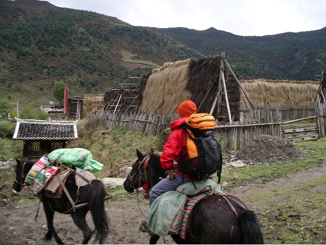 Horses for Happy Trails