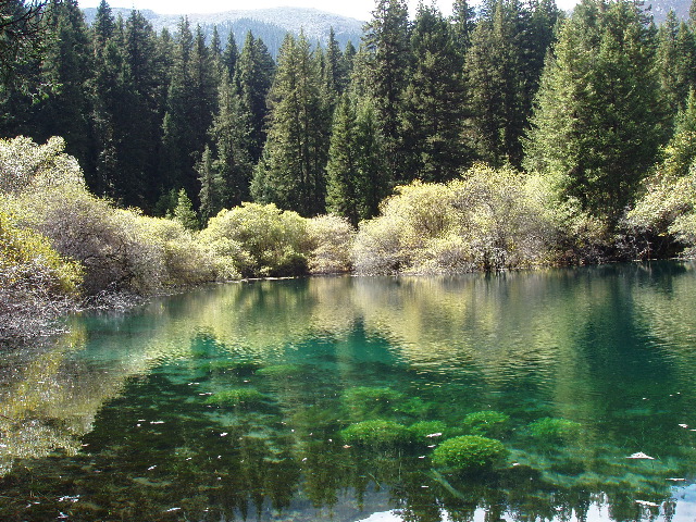 Famous Green Water