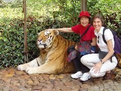 Mimi & Becky & real tiger