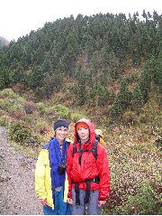 Cold & Rain