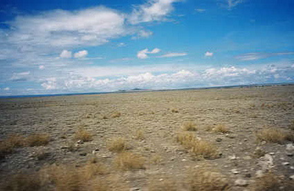 8334248_0_425