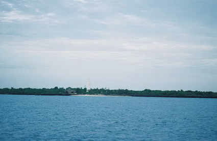 10134261_0_425