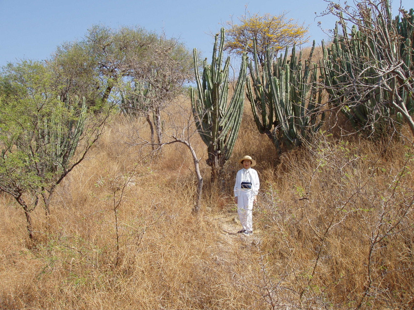 Hiking to the ruins