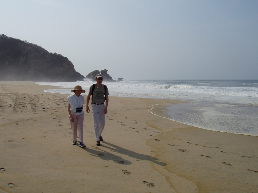 The beach